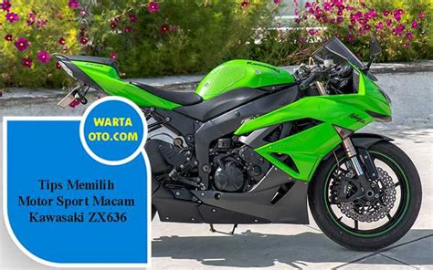 Simak! Ini Dia Tips Memilih Model Motor Kawasaki 2026 Sesuai Jenis ... - balustradellc