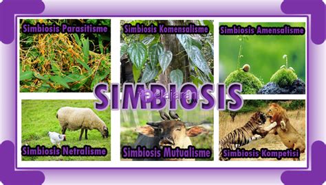 Simbiosis: Pengertian, Jenis-jenis & Contoh … - muktibox.com
