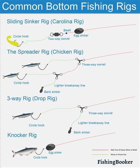 Simple And Effective ! Simple Rigs For Bottom Fishing - balustradellc