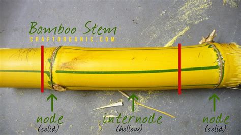 Simple Bamboo Planters - Craft Organic - balustradellc