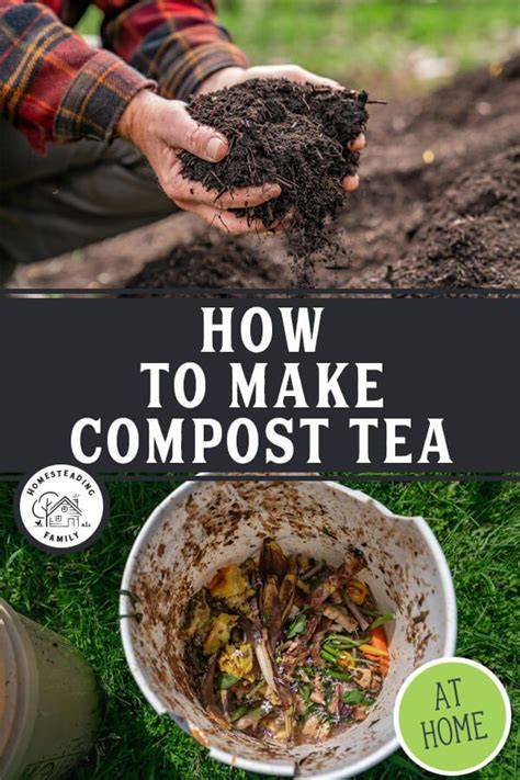 Simple Compost Tea Recipe (for JURASSIC … - raincitystudios.com