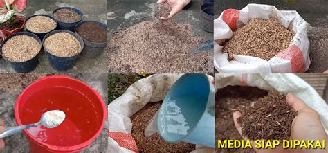 Simple DIY Potting Mix for Houseplants Cara Membuat Media Tanam Tanaman ... - balustradellc