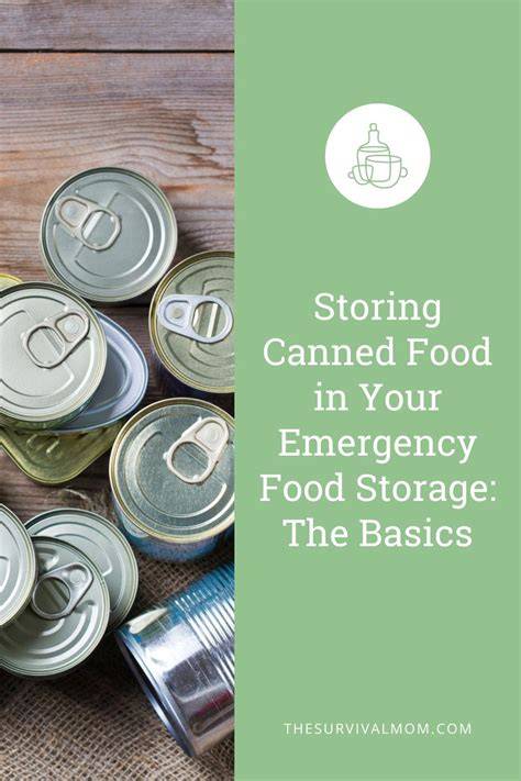 Simple Emergency Food: Stocking Up with Canned Goods - raincitystudios.com