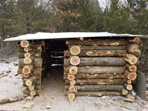 Simple Off Grid Log Cabin Build: Easy Wall Construction (Butt - balustradellc