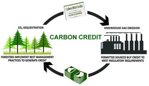 Simple Ways to Buy and Sell CO2 Credits - co2x.nz - balustradellc