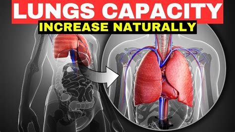 Simple Ways To Increase Your Lung Capacity - balustradellc