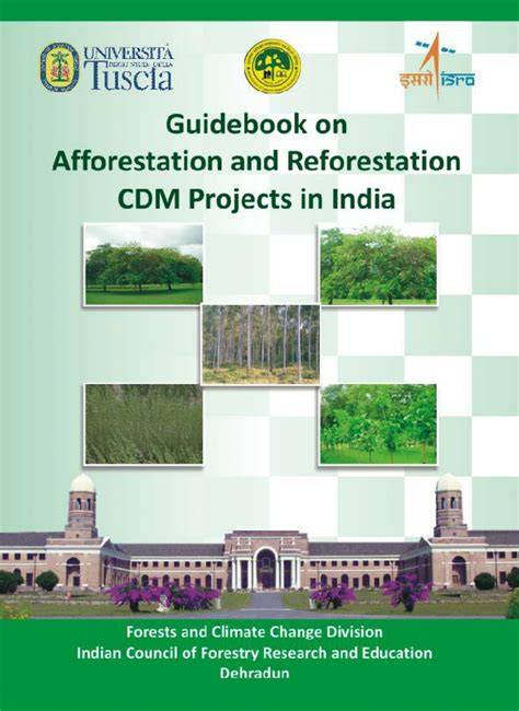Simplified modalities and procedures for small-scale afforestation and ... - raincitystudios.com