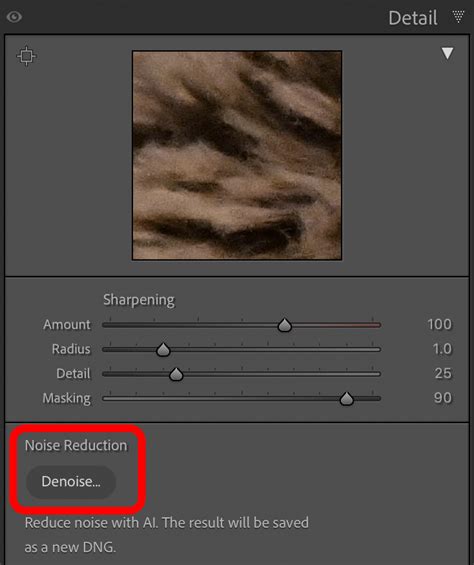 Simplify Your Workflow with Lightroom's AI Denoise - balustradellc