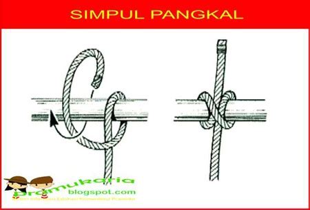 Simpul Pangkal | Pramuka SMPK 6 Penabur - balustradellc