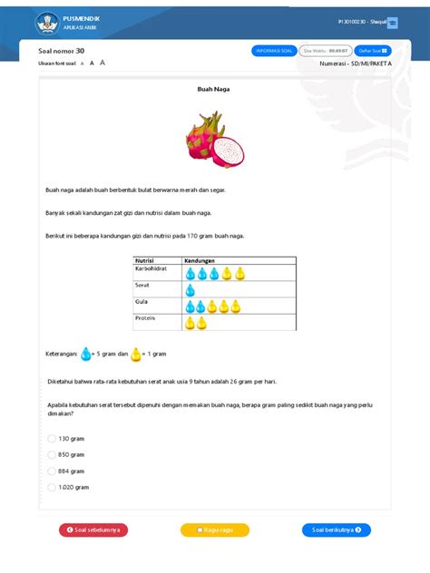 Simulasi AKM | LOGIN - Kemdikbud - panachespalon.com