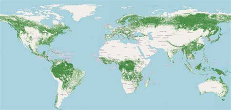 Simulation of forest cover map for 2025 and beyond … - raincitystudios.com