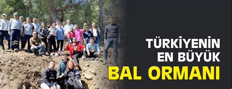 SINDIRGI’DA BAL ORMANI KURULUYOR « 10Balikesir. 