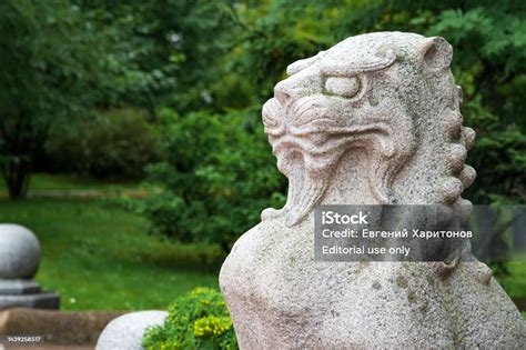 Singa batu | S1 | Terakreditasi | Universitas STEKOM Semarang - balustradellc