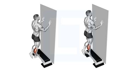 Single Leg Calf Raise (dengan Dumbbell): Panduan Latihan, Teknik ... - balustradellc