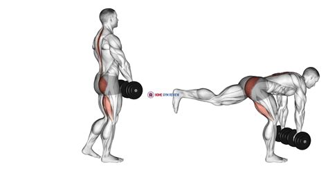 Single Leg Deadlift Dumbbell Exercise - balustradellc