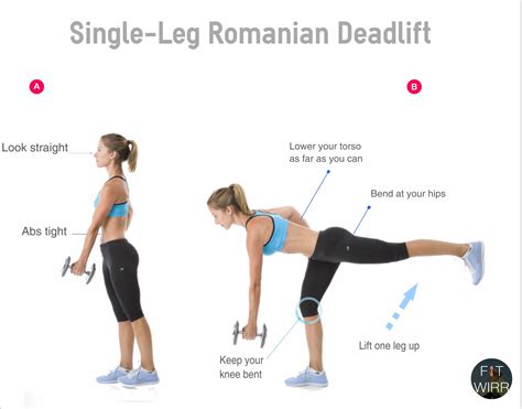 Single Leg Romanian Deadlift: How, When, and Why It Should Be ... - BarBend - balustradellc