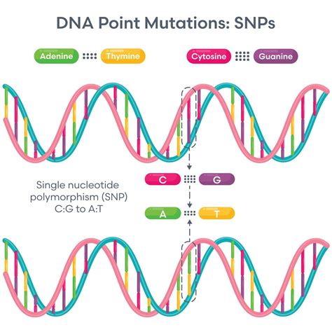 Single-nucleotide polymorphisms that uniquely identify cultivars of ... - raincitystudios.com
