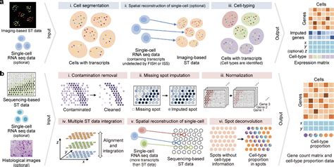 singlecell-spatial-omics-skillkit/SKILL.md at main - GitHub - wintechmobiles.com