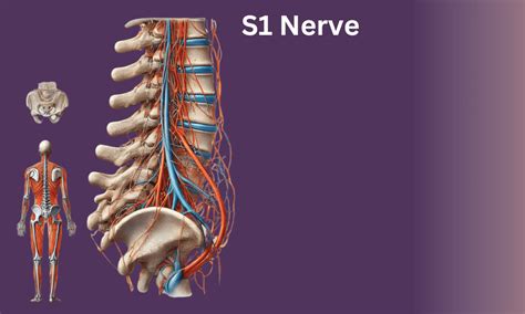 Singularitas gravitasional | S1 | Terakreditasi - wintechmobiles.com