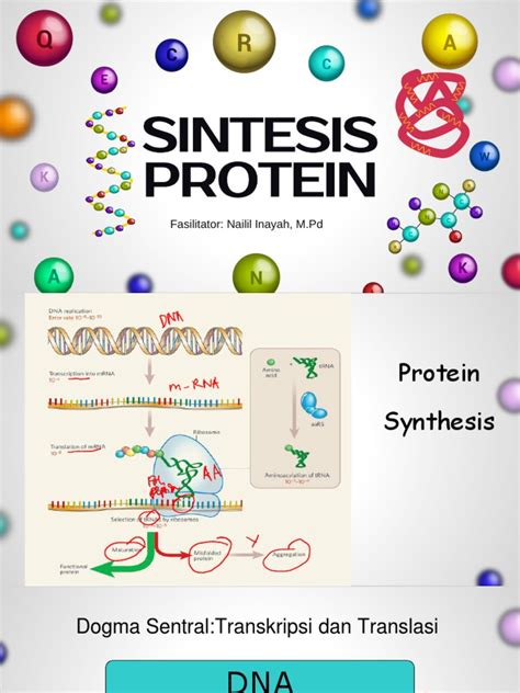 SINTESIS PROTEIN - repository.um - coolestguyplanet.net
