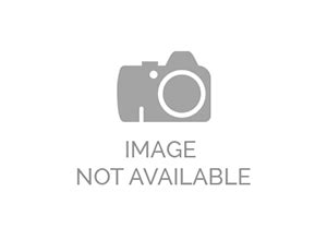 Sipinter ∣ Sistem Informasi Perkembangan Ternak - balustradellc