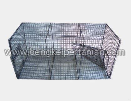 Sistem Bubu Perangkap Tikus - balustradellc
