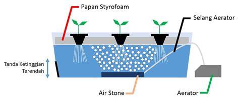 Sistem Hidroponik Rakit Apung - MANFAAT & CARA … - raincitystudios.com