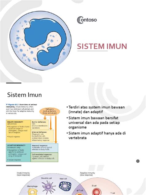Sistem imun bawaan - Wikipedia bahasa Indonesia, ensiklopedia bebas - muktibox.com