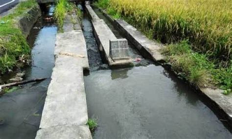 Sistem irigasi Subak Bali, Indonesia, metode pengairan sawah ... - wintechmobiles.com