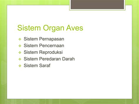 Sistem organ aves | PPTX - SlideShare - muktibox.com