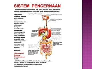 Sistem Penghadaman - muktibox.com