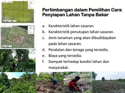 Sistem pengolahan lahan tanpa bakar dalam kebakaran hutan dan lahan ... - raincitystudios.com