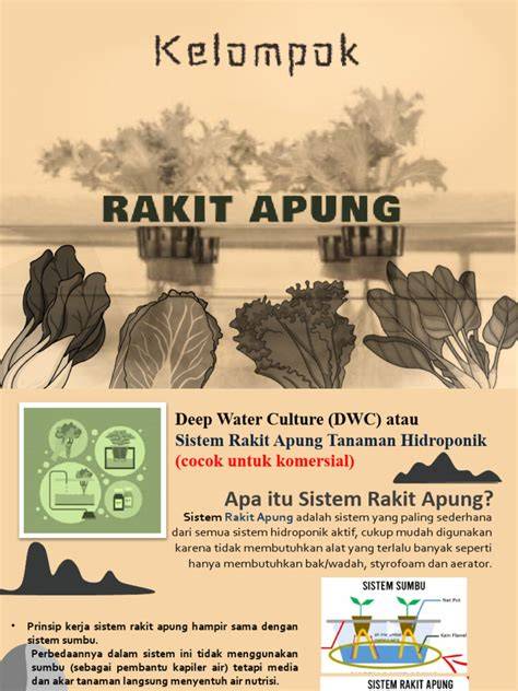 Sistem Rakit Apung Hidroponik DWC | PDF - Scribd - raincitystudios.com