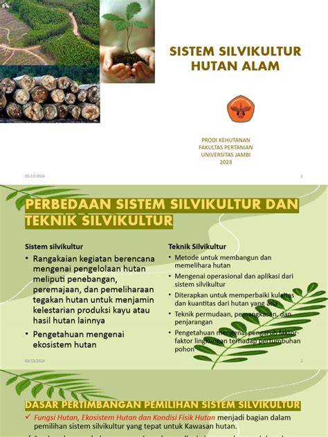 Sistem Silvikultur dan Teknik THPB | PDF - Scribd - raincitystudios.com
