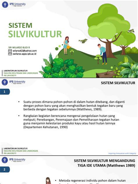 Sistem Silvikultur di Indonesia | PDF - Scribd - raincitystudios.com