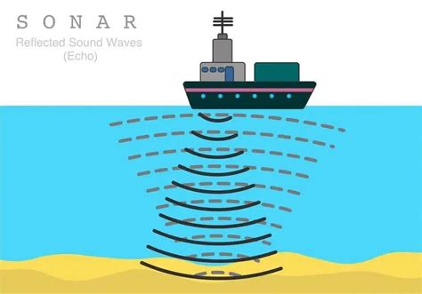 Sistem Sonar | Aplikasi dalam Navigasi dan Deteksi - raincitystudios.com