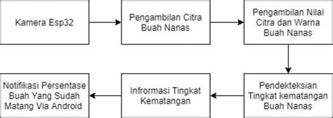 SISTEM SORTIR BUAH BERBASIS INTERNET OF THINGS - coolestguyplanet.net