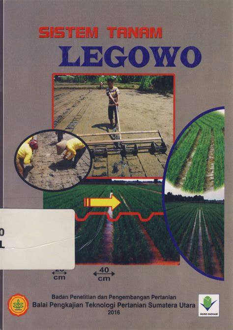 Sistem Tanam LEGOWO - Pertanian - raincitystudios.com
