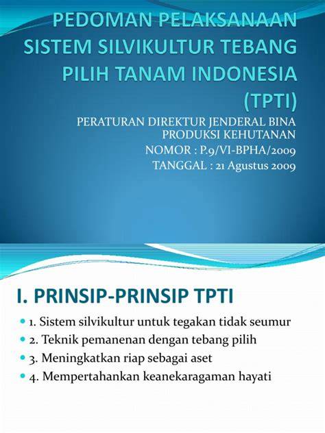 Sistem TPTI dalam Pengelolaan Hutan | PDF - raincitystudios.com