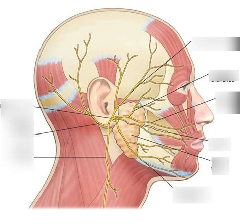 SITUS BOLEP facial & deepthroat pilihan bokep indo viral 2025 bocoran bokep HD ngentot artis Indonesia pantai ML image 1
