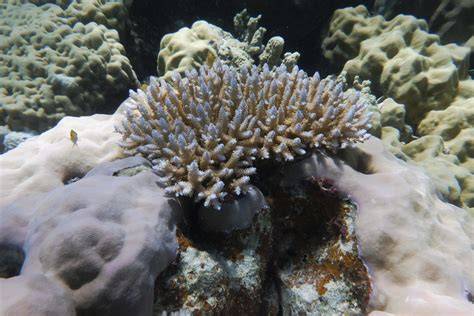 Six big ideas for healthy oceans and sustainability - raincitystudios.com