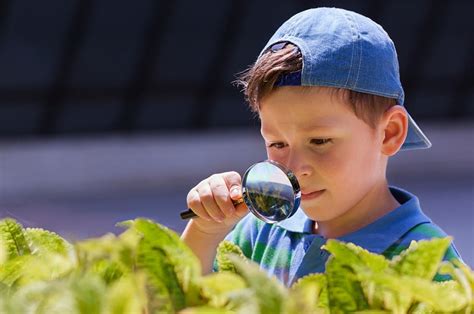 Six Everyday Ways to Raise Intellectually Curious … - balustradellc