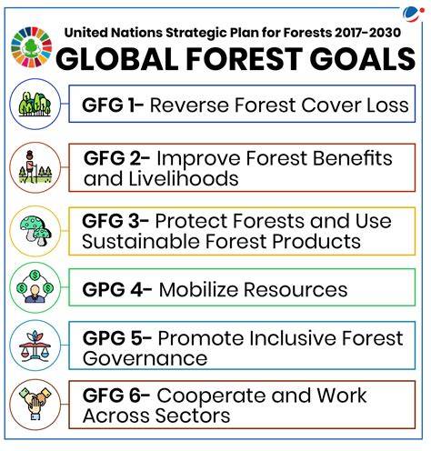 Six Global Forest Goals agreed at UNFF Special Session - raincitystudios.com