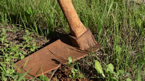 Six ingenious methods to restore rusty garden tools - balustradellc