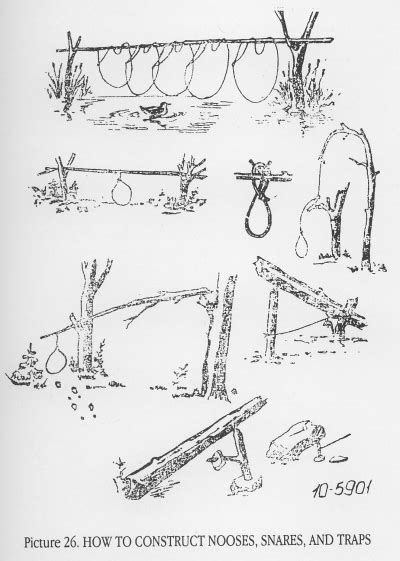 Six Primitive Traps For Catching Food In The Woods - balustradellc