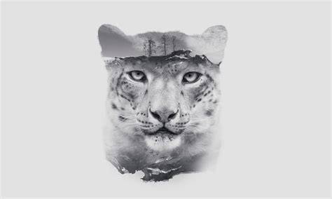 Six reasons why the world needs to protect big cats - raincitystudios.com