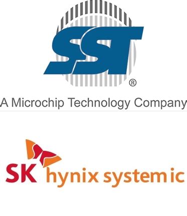 SK hynix system ic