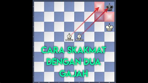 Skakmat Dengan Dua Gajah - Terminologi Catur - balustradellc