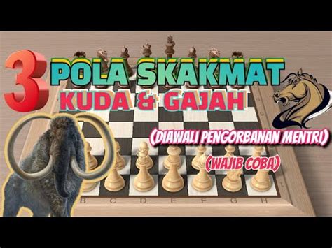 Skakmat Dengan Gajah Dan Kuda - Terminologi Catur - balustradellc
