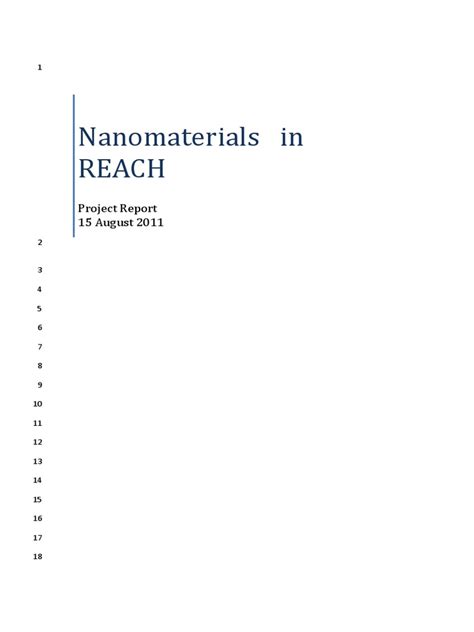 SKEPP 2011 Nanomaterials in REACH report 15082011 pdf
